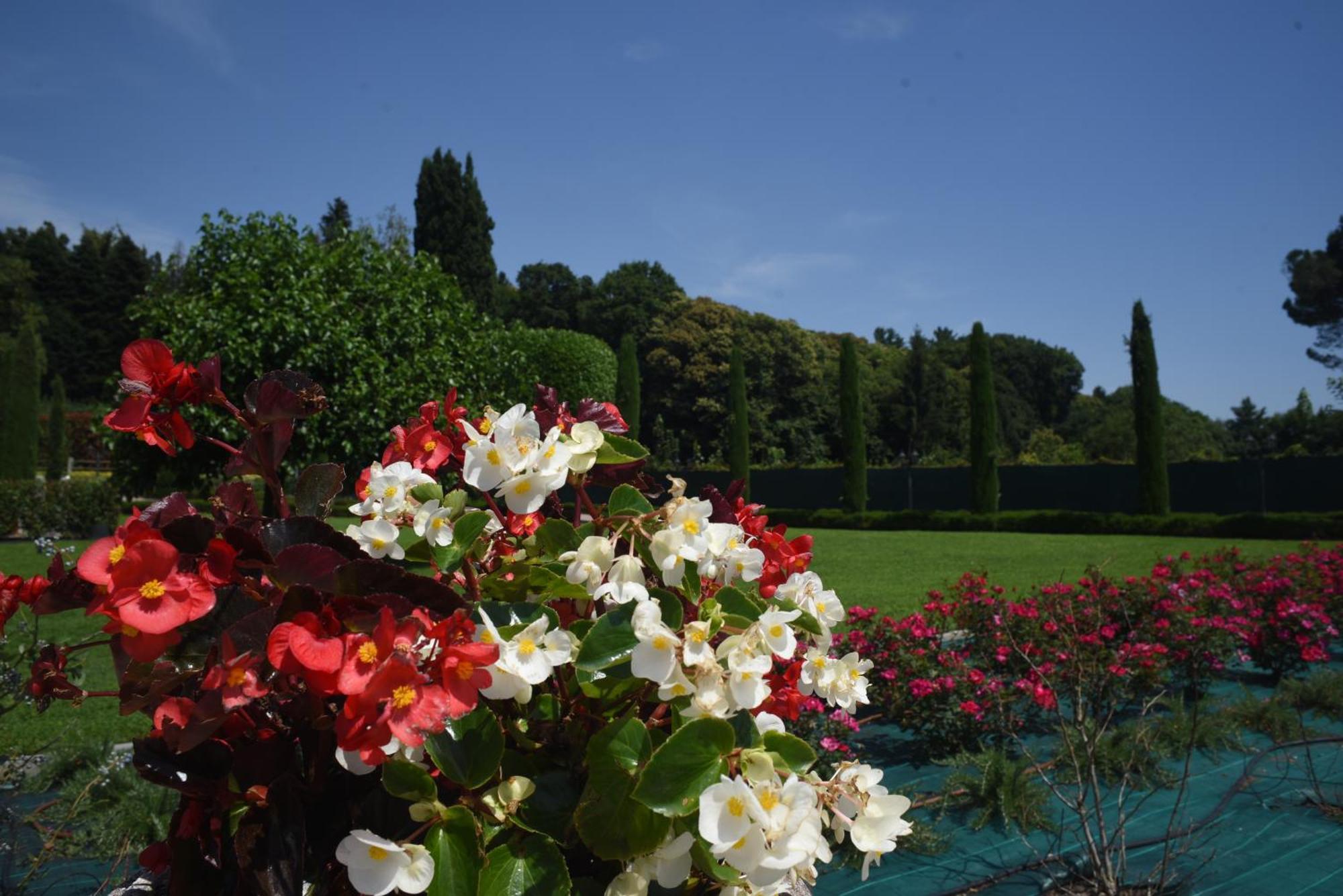 Villa Casale al Foino Induno Olona Esterno foto
